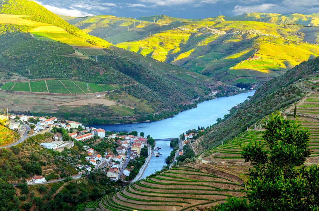 The Douro River Valley. Credit: AMA Waterways