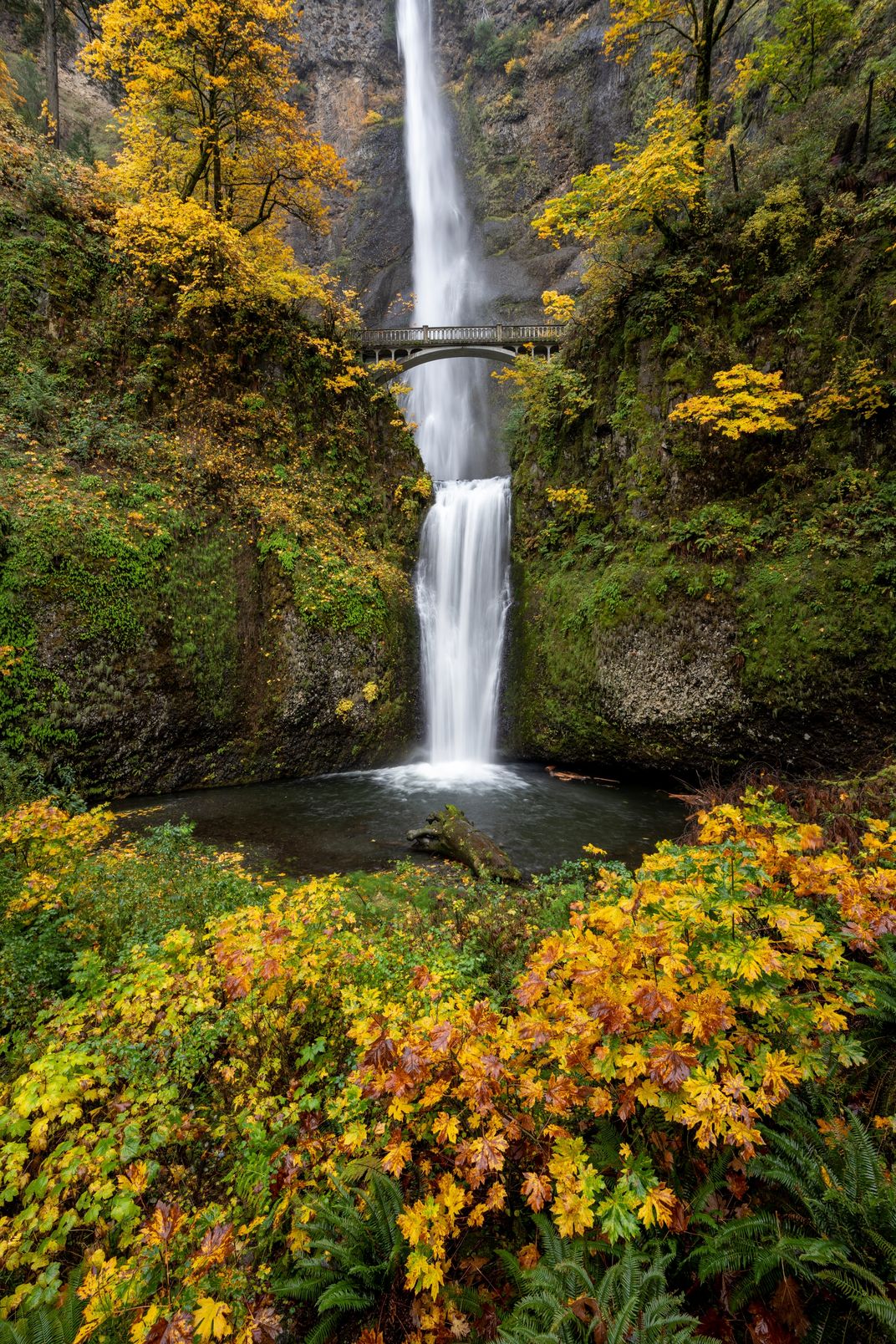 Multnomah Falls in Fall | Smithsonian Photo Contest | Smithsonian Magazine