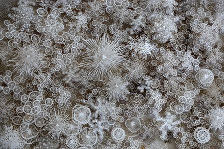 Detailed view of "Magic Circle Variation 5" with hand- and laser-cut paper