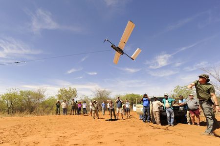 A Falcon UAV unpiloted aircraft is bungee launched in a midday demonstration flight.
