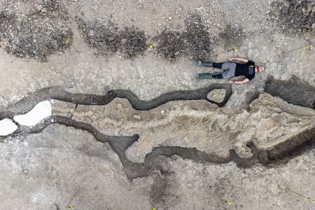 University of Manchester paleontologist Joe Davis sprawls out next to the 32-foot-long skeleton.