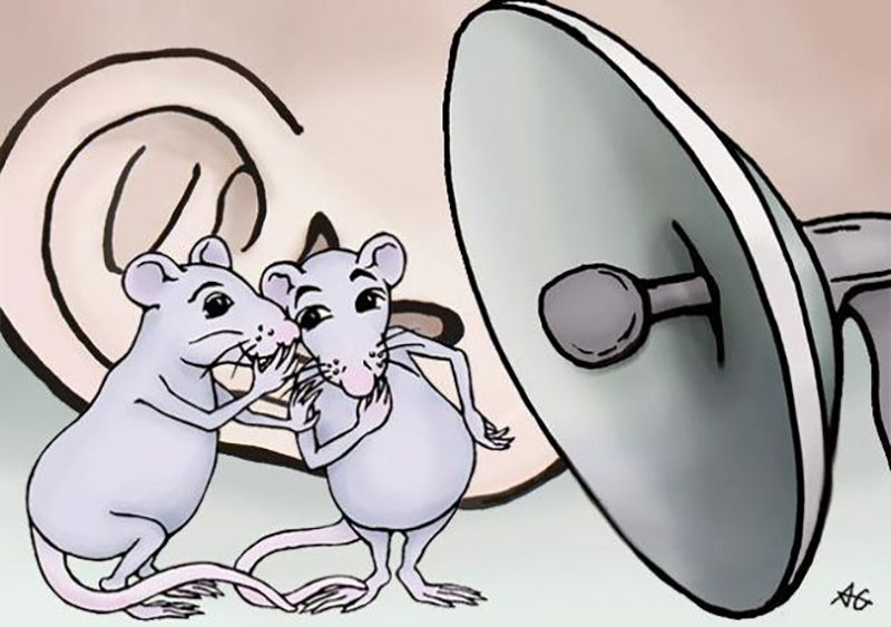 How do ultrasonic devices work on mice and rats?