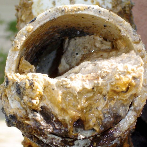 Fatty Sewer Pipe