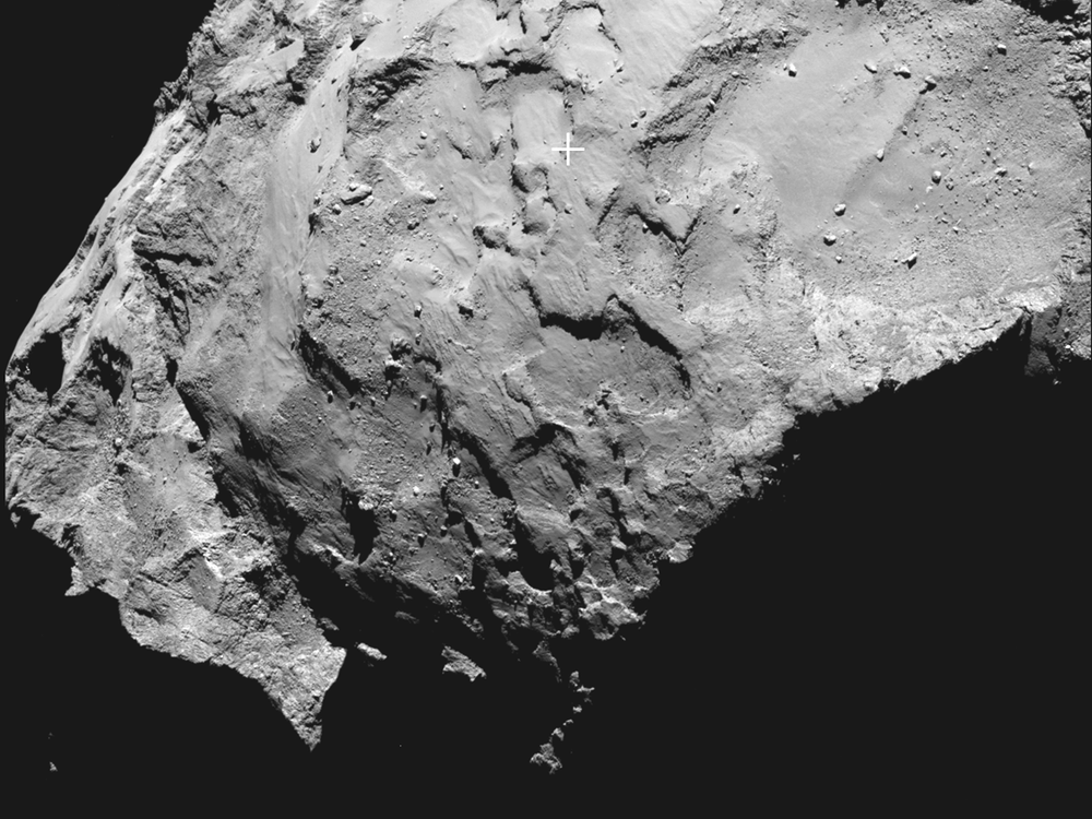 rosetta