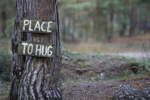 Place to Hug thumbnail