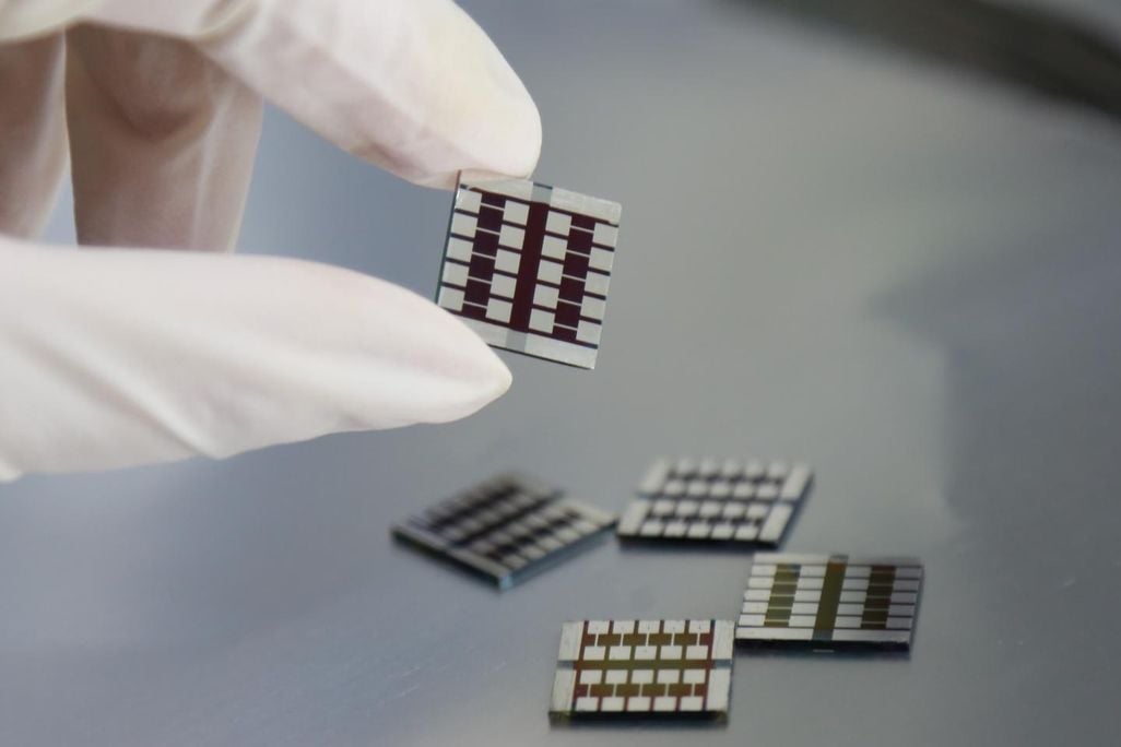 perovskite solar cells