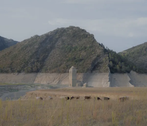 Mediano Resurfaces thumbnail