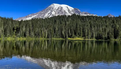 A Massive Flow of Rock and Mud Tumbled Down Mount Rainier Centuries Ago. Scientists Pinpointed Its Date to Better Understand the Volcano's Complex Threats