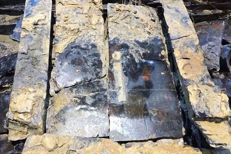 The bronze mirror found in the tomb of the Marquis of Haihun.