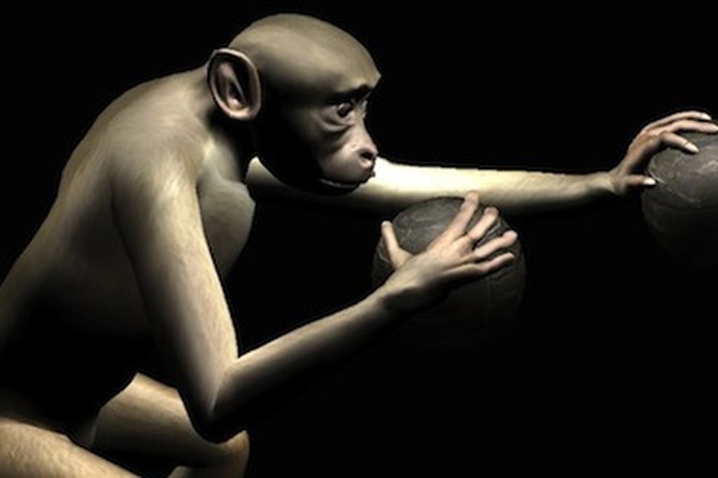 virtual monkey