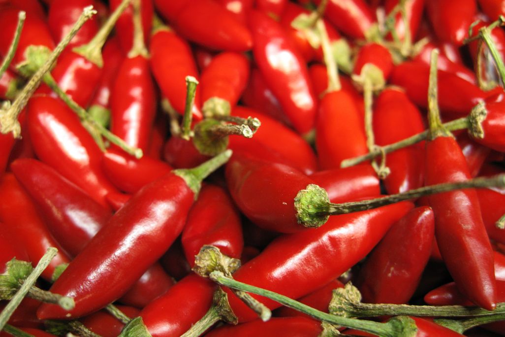 chili peppers.jpg