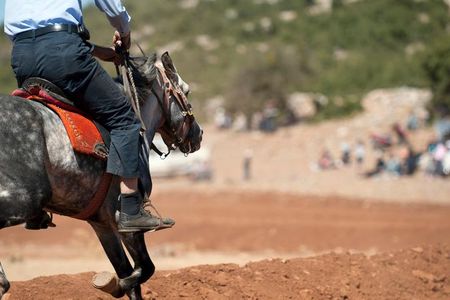 If you're going to be riding a horse for a while, you're probably going to want to amble.