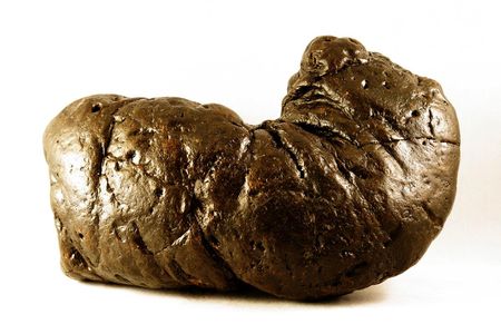This coprolite specimen, dubbed "Precious," is the largest fossilized feces found to date. Found in South Carolina, it weighs just over four pounds.