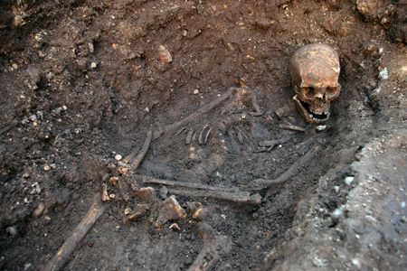 The skeleton of Richard III