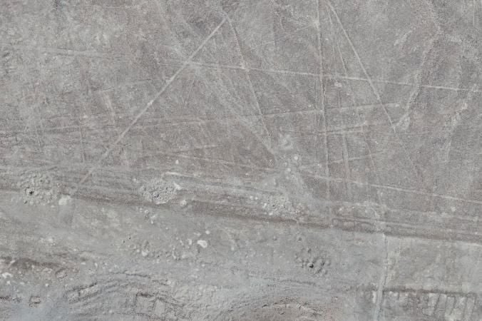 Condor Nazca lines.jpg