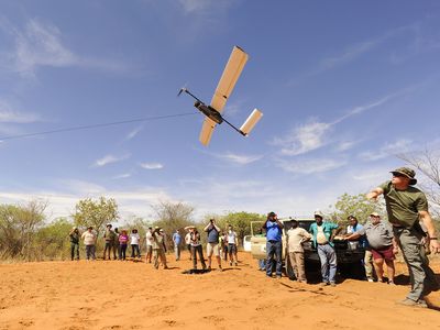 A Falcon UAV unpiloted aircraft is bungee launched in a midday demonstration flight.