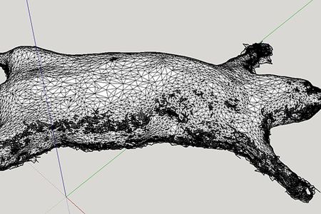 The founders of NecropSynth use SketchUp Pro to design the external shell of a 3D printed model of a rat.