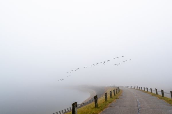 Fog on the Dam thumbnail