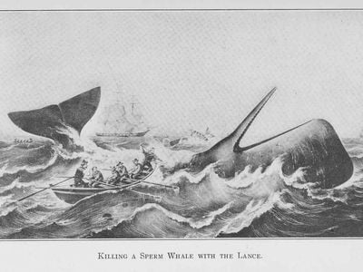 Whaling captured the popular imagination.