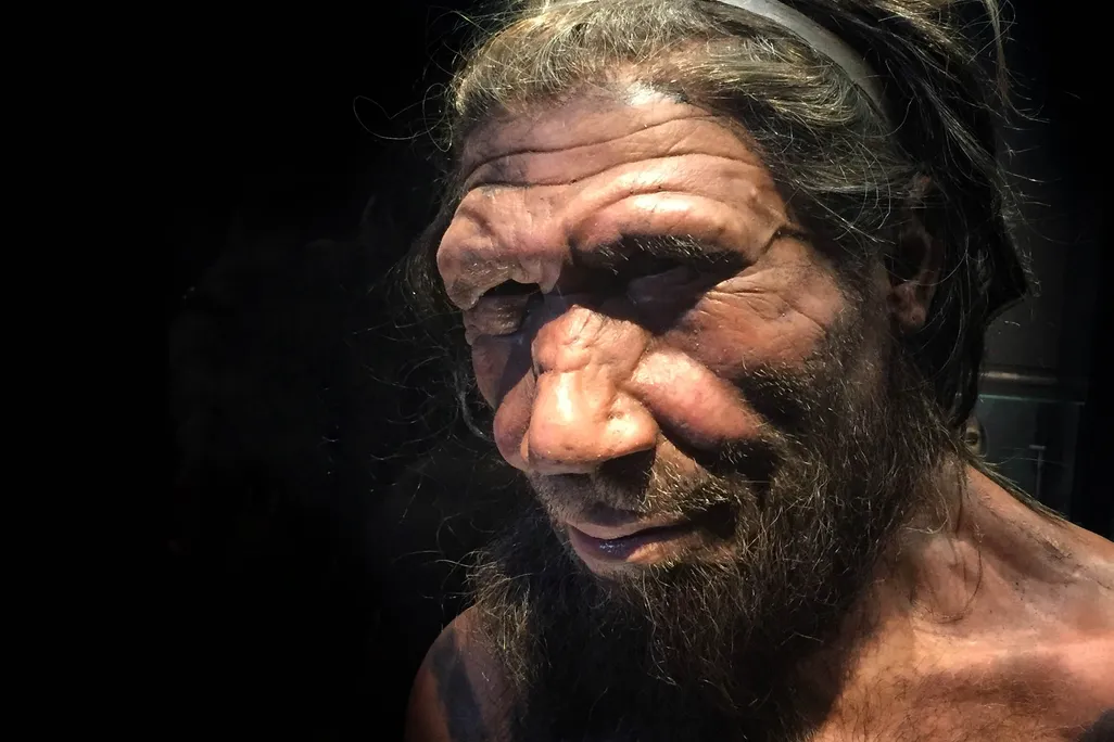 Neanderthal