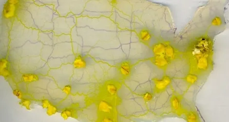 A slime mold is used to design an efficient U.S. interstate system.