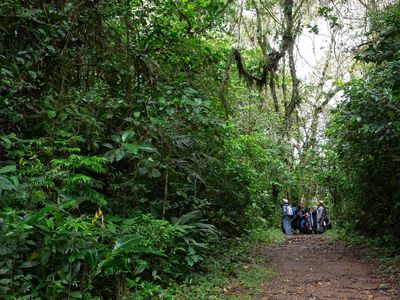 Dendrology course field trip