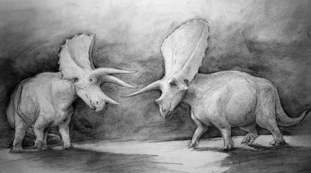 Triceratops (left) and Torosaurus (right)