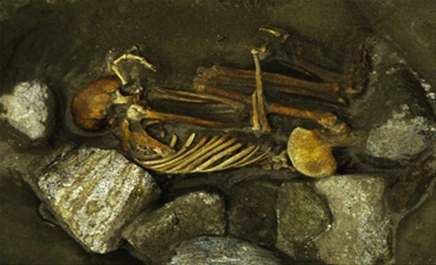 The adult female skeleton
