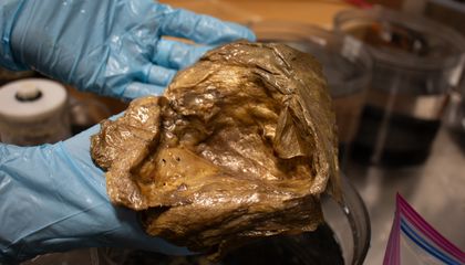 Scientists Found This Mysterious Golden Orb on the Seafloor Nearly Three Years Ago. Now, They Finally Know What It Is