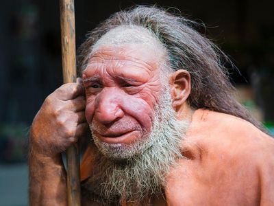 Figure from the Neanderthal Museum in Mettmann, Germany
