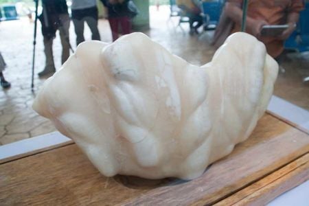 The 75-pound "Pearl of Puerto."