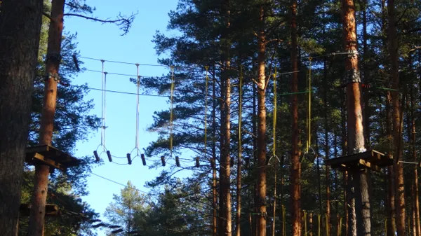 The Ropes Remember Summer thumbnail