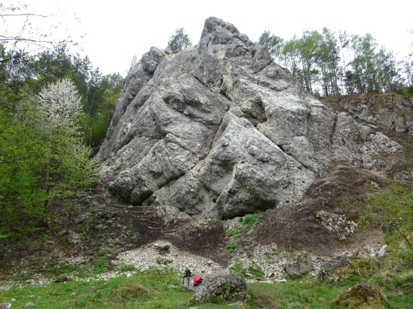 Kobylanska Valley in spring thumbnail