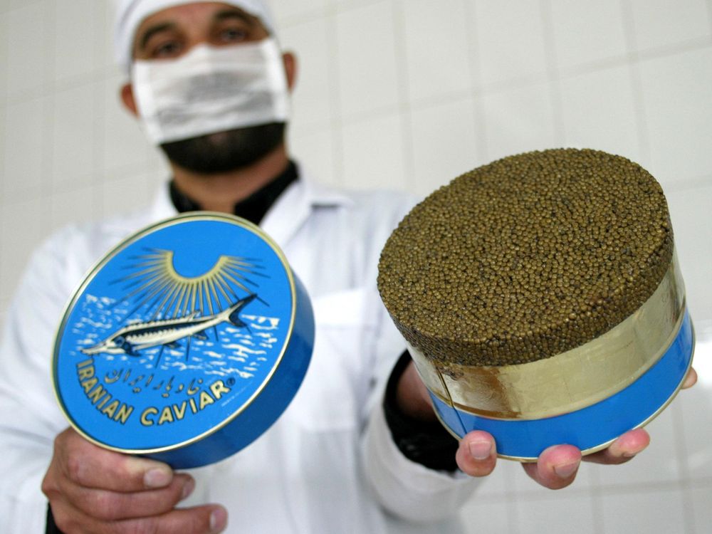 iranian caviar