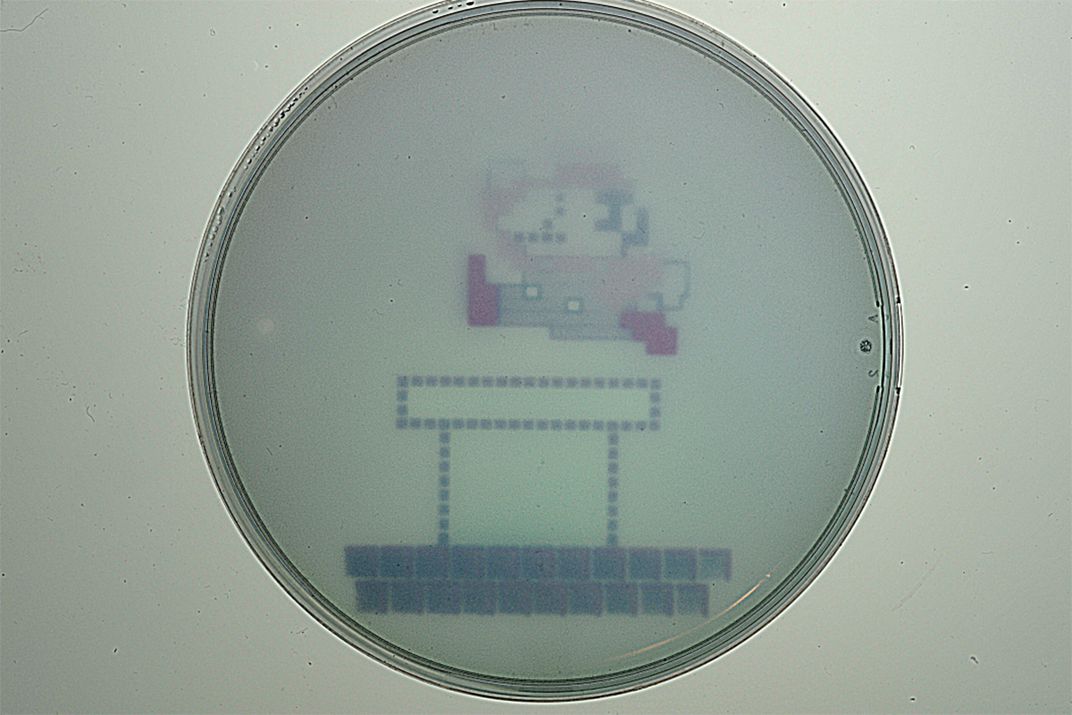 Bacterial Mario