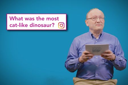 Smithsonian paleontologist, Hans Sues, answers your questions in the National Museum of Natural History’s Deep Time YouTube series, “The Doctor Is In.” (Smithsonian Institution)   