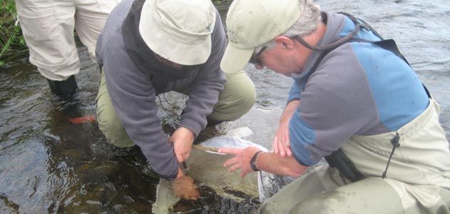 team collects invertebrates