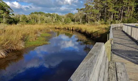 A clear blue river winds through a reedy wetland, reflecting the clouds overhead. A wooden boardwalk with rails overlooks the river on the right.