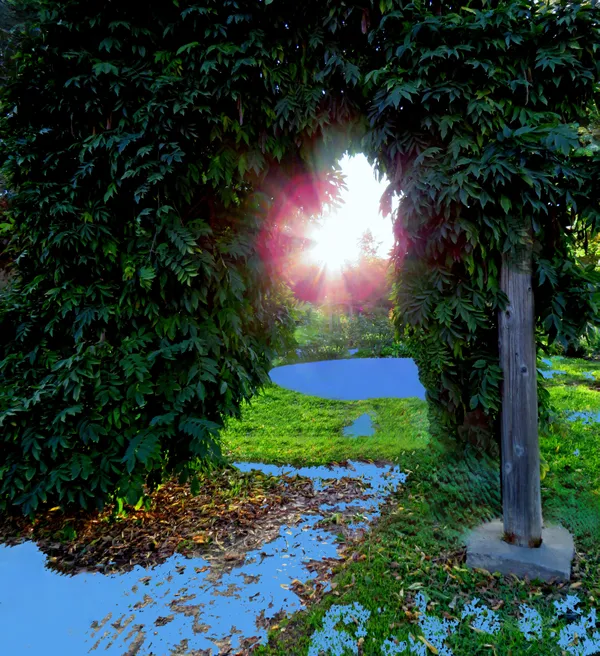 Rose Garden with dramatic sun burst thumbnail