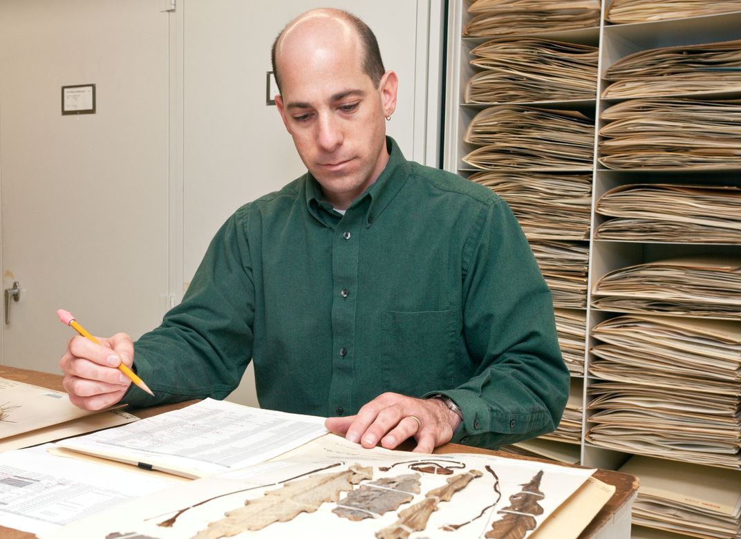 Person doing research in museum storage cases