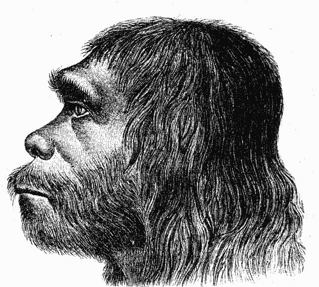 20121025034023neanderthal.jpg