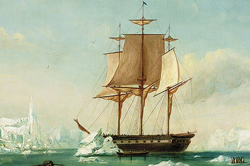 Expedition
