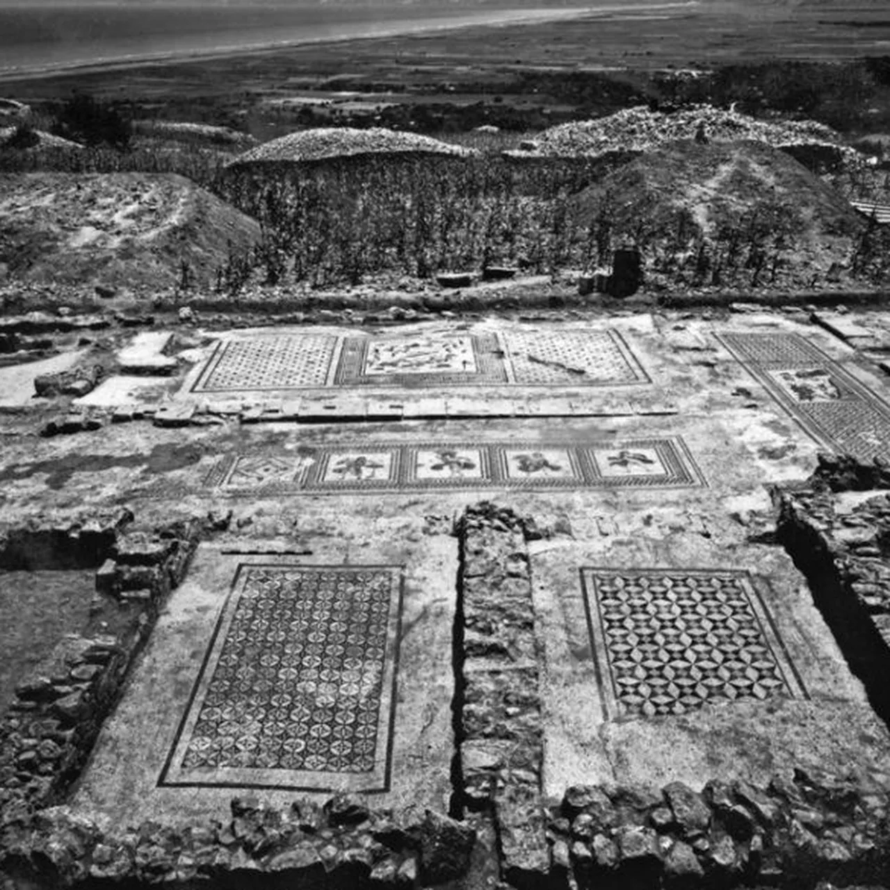 2,000-Year-Old Mosaics Unearthed Under Florida Art Museum