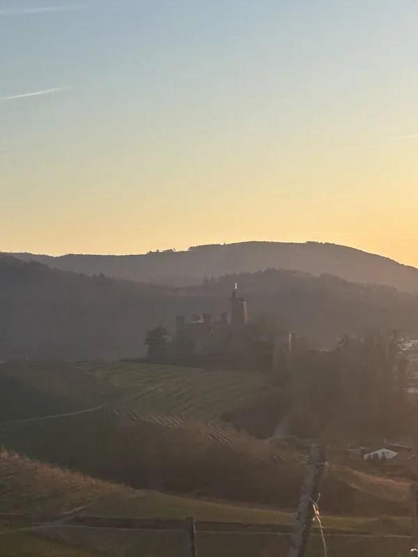 A Castle nestled in the rolling vineyard hills of Germany. thumbnail