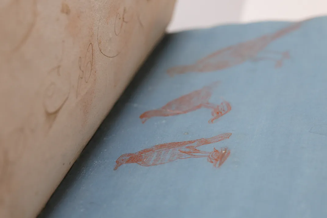 Drawing book 4