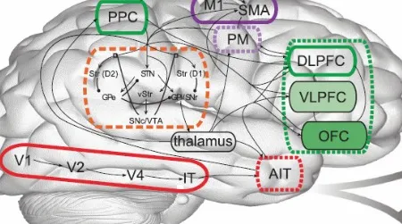 Meet Spaun, a computer model that mimics brain behavior.