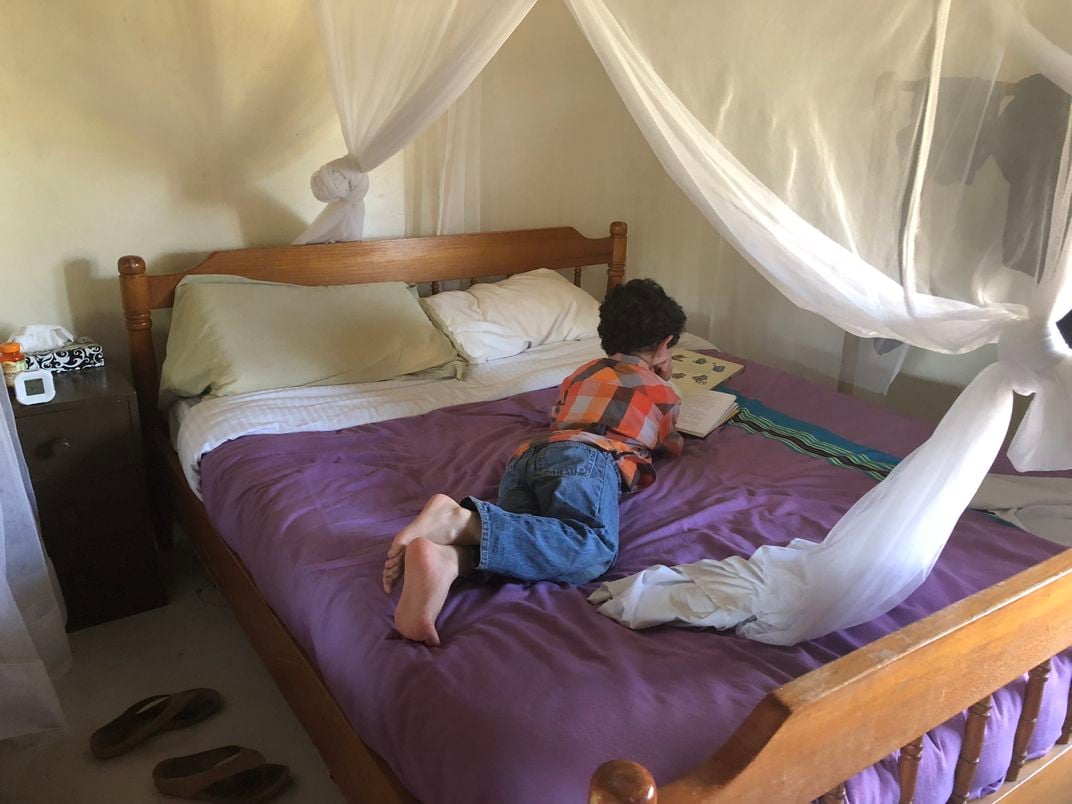 A young boy laying on a bed with purple sheets reading a book.
