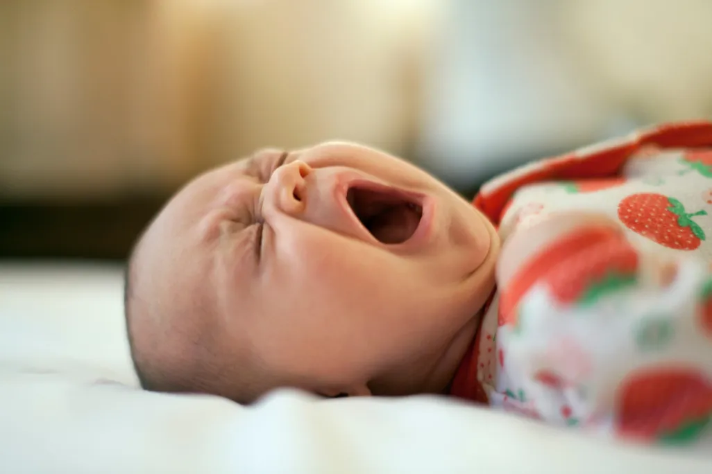 newborn baby