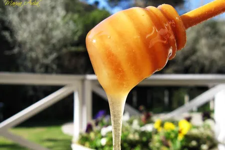 Researchers found low levels of radiation from Cold War nuclear tests in local honey produced in the Eastern United States.


