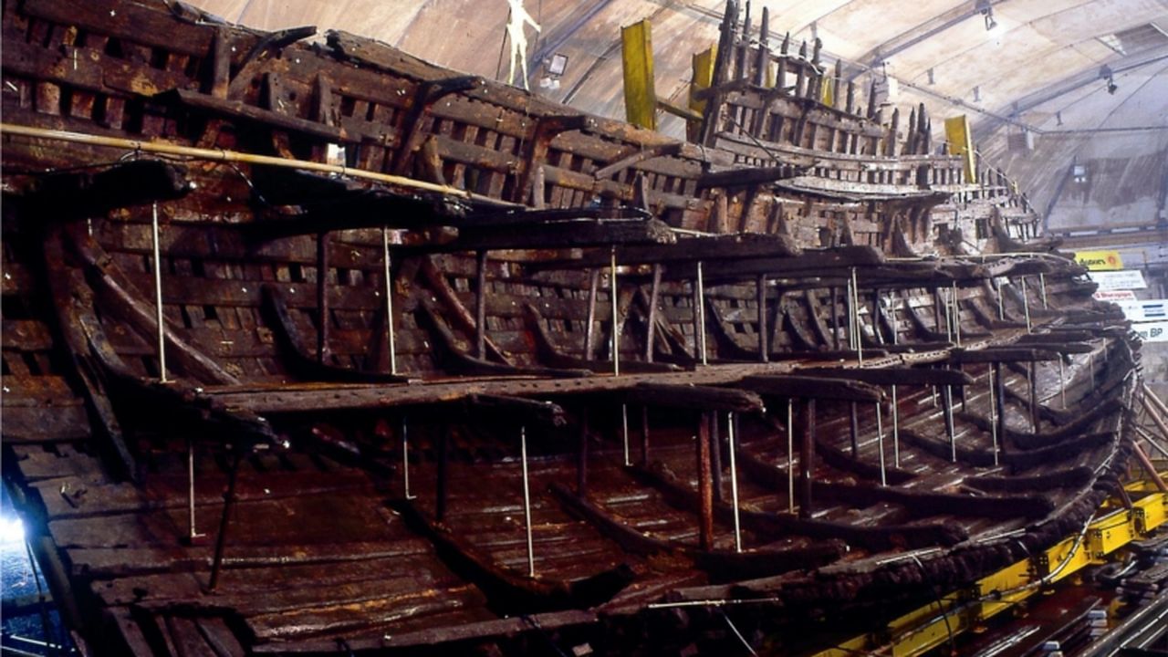 Explore Skulls and Artifacts From a 16th-Century Warship